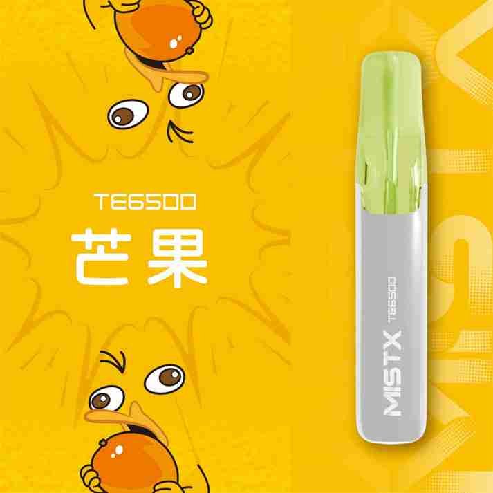 MISTX TE6500-芒果 MISTX TE6500-芒果