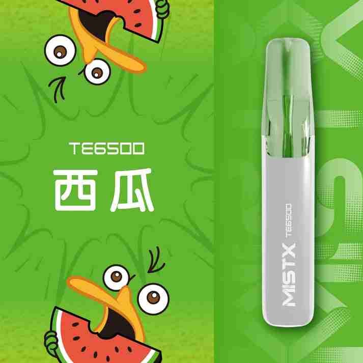 MISTX TE6500-西瓜 MISTX TE6500-西瓜